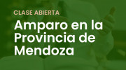 Clase abierta sobre Amparo en Mendoza