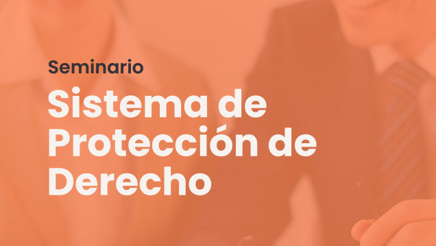 imagen Seminario sobre Sistema de Protección de Derecho