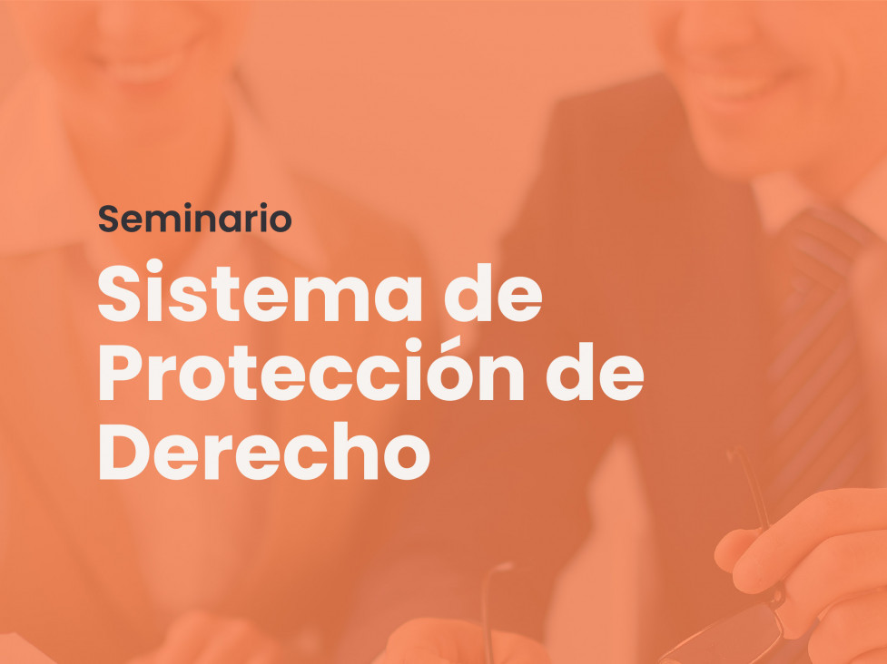 imagen Seminario sobre Sistema de Protección de Derecho