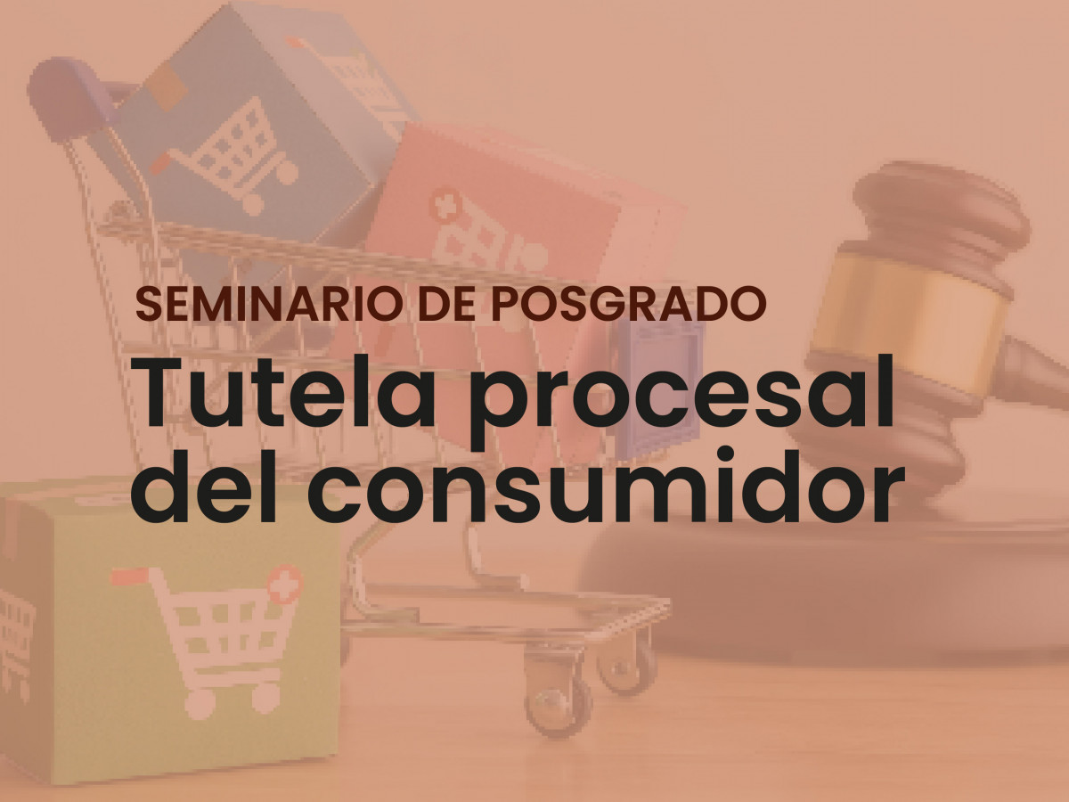 imagen Seminario de Posgrado | Tutela Procesal del Consumidor