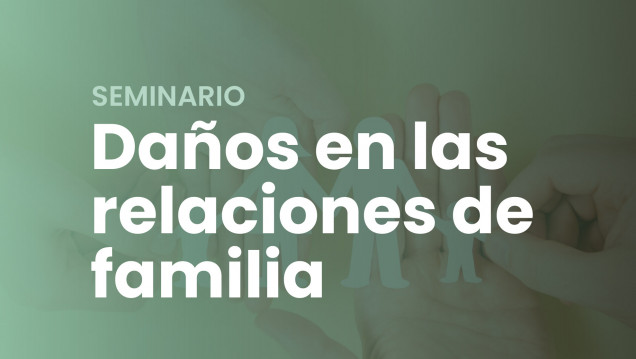 imagen Seminario sobre Daños en las relaciones de familia