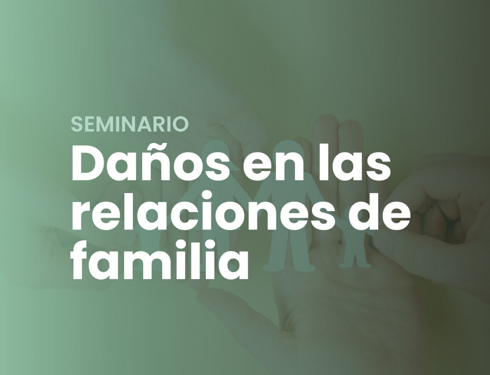 imagen Seminario sobre Daños en las relaciones de familia