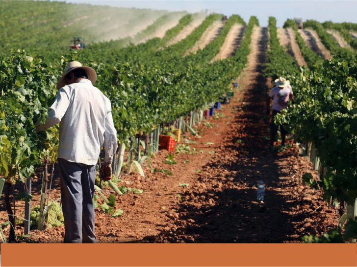 imagen Conversatorio | "El derecho sucesorio, la atomización de la propiedad y el cooperativismo vitivinícola" 
