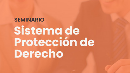 imagen Seminario sobre Sistema de Protección de Derecho