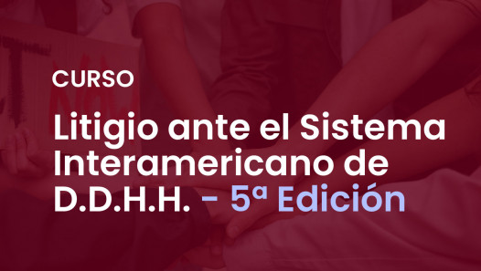 imagen Curso de Litigio Internacional y Derechos Humanos (Quinta Edición)