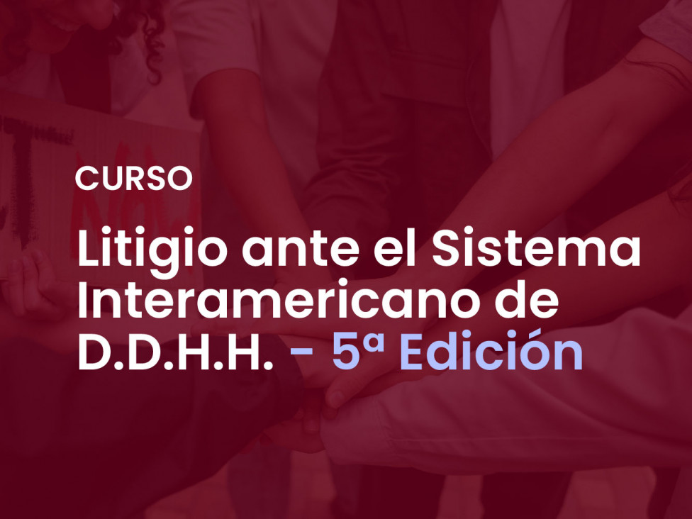 imagen Curso de Litigio Internacional y Derechos Humanos (Quinta Edición)