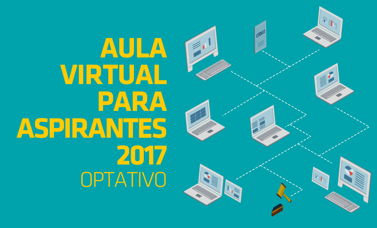 imagen Aula Virtual Optativa