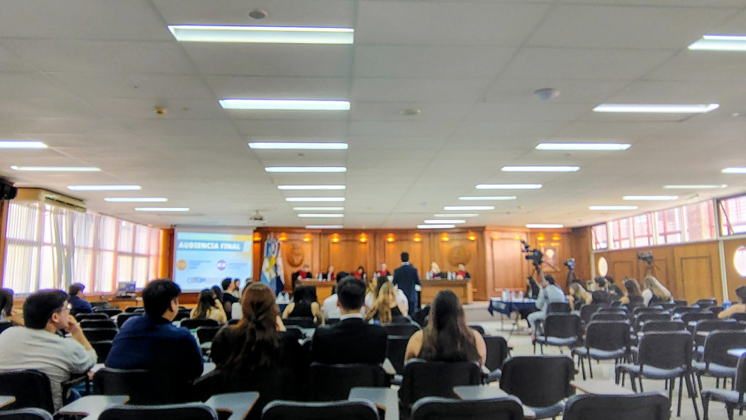 imagen Fake News y responsabilidad estatal (2025)