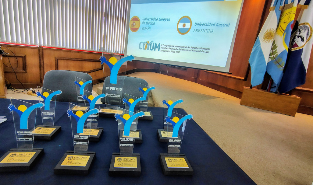 imagen Fake News y responsabilidad estatal (2025)