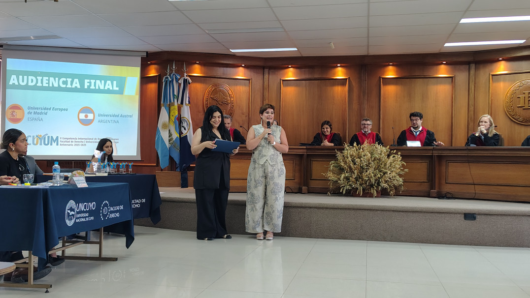 imagen Fake News y responsabilidad estatal (2025)