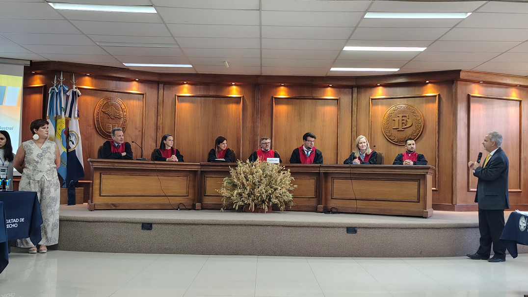 imagen Fake News y responsabilidad estatal (2025)