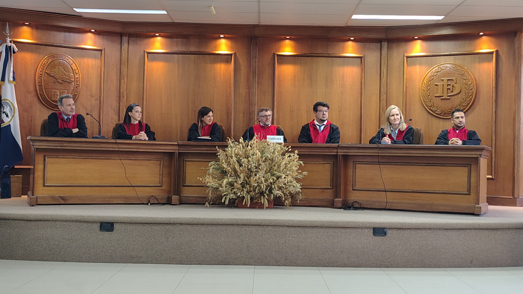 imagen Fake News y responsabilidad estatal (2025)