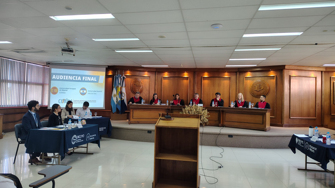 imagen Fake News y responsabilidad estatal (2025)