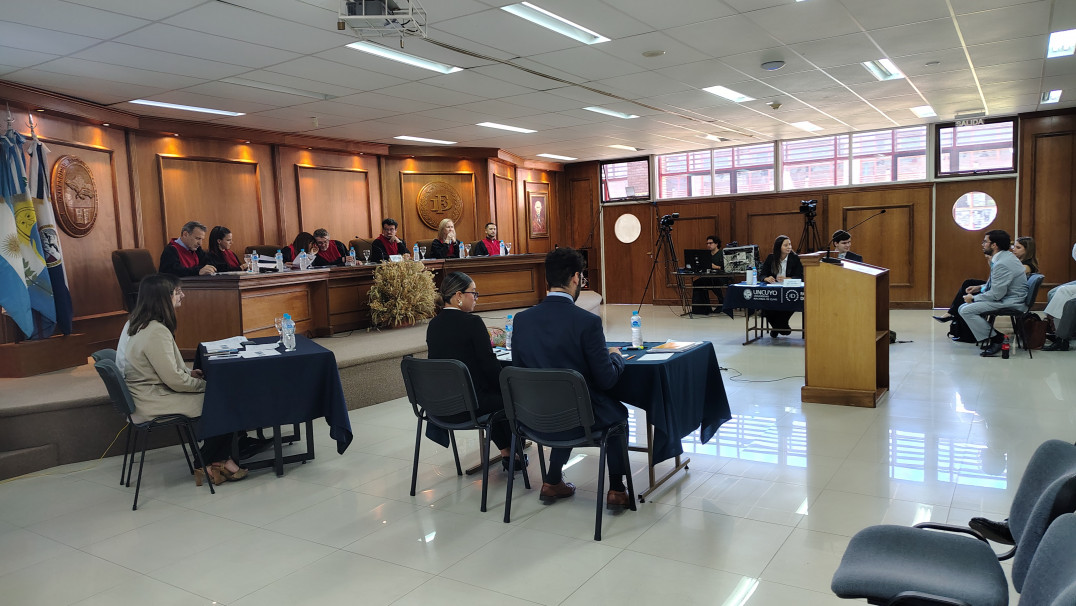 imagen Fake News y responsabilidad estatal (2025)