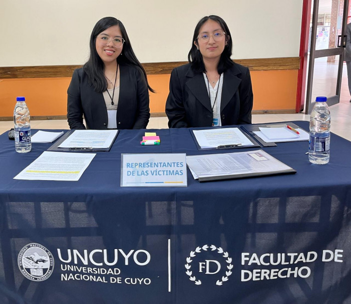 imagen Fake News y responsabilidad estatal (2025)