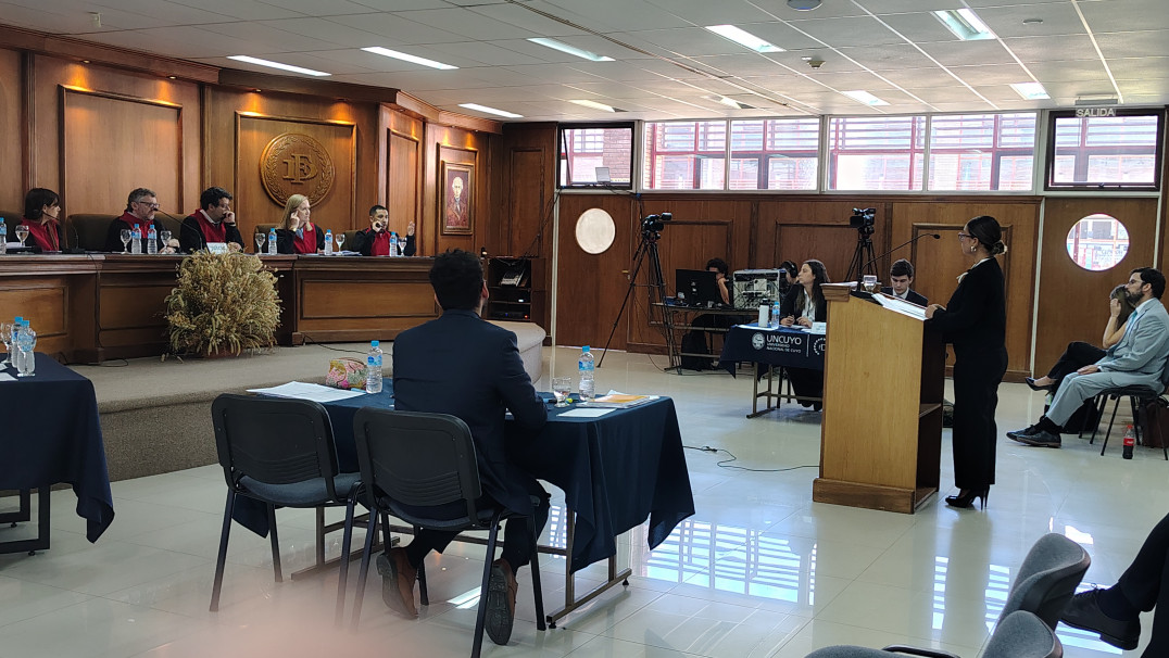 imagen Fake News y responsabilidad estatal (2025)